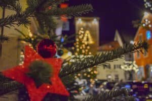 Weihnachtsbäume_Donaustraße quer_logo